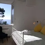 Dreams